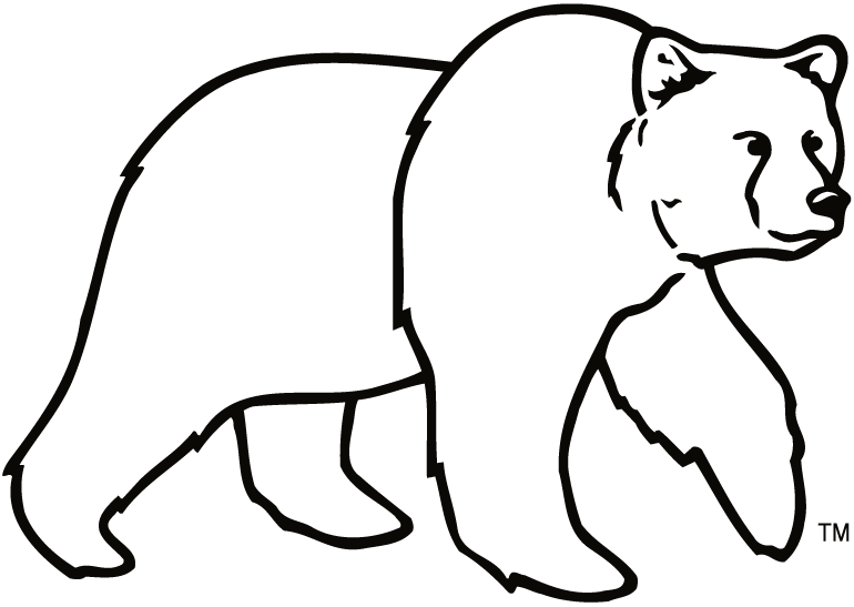 Montana Grizzlies 1996-Pres Alternate Logo v8 DIY iron on transfer (heat transfer)